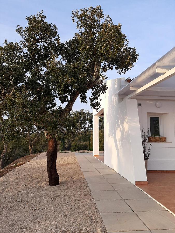 Monte Vale Manhas By Hi Alentejo Villa São Bartolomeu da Serra Eksteriør billede