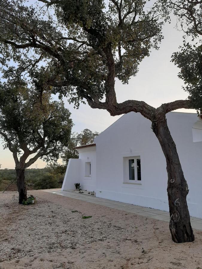 Monte Vale Manhas By Hi Alentejo Villa São Bartolomeu da Serra Eksteriør billede