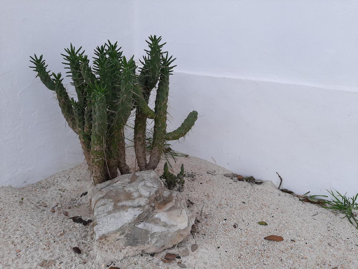 Monte Vale Manhas By Hi Alentejo Villa São Bartolomeu da Serra Eksteriør billede